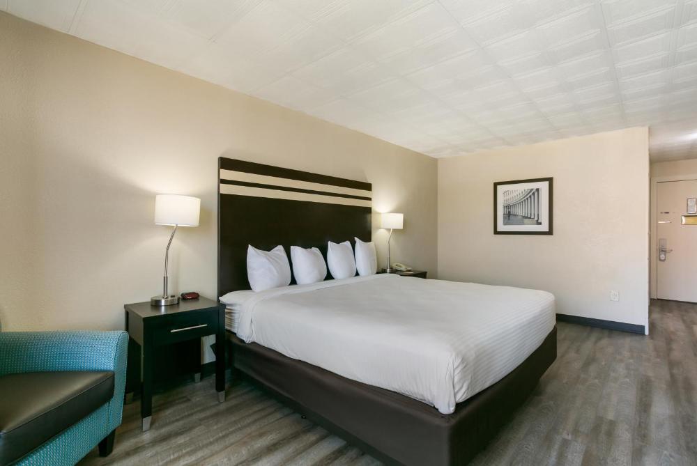 Deluxe King Room interior